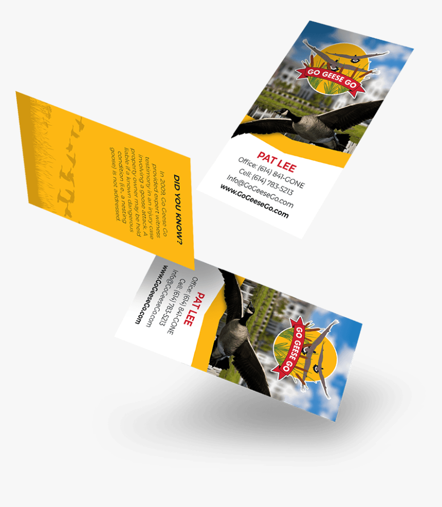 Go Geese Go - Flyer, HD Png Download