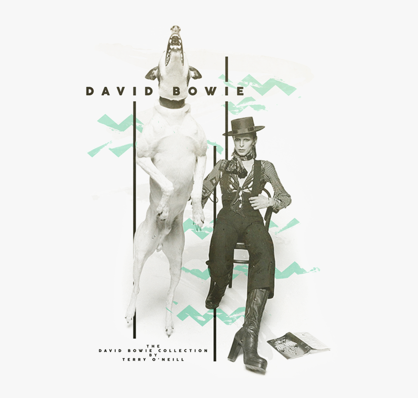 Terry O Neill David Bowie , Png Download - David Bowie Black And White Poster, Transparent Png