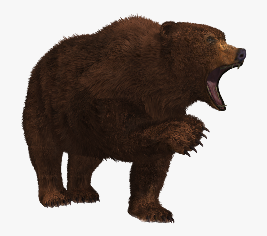Bear Png - Growling Bear Png, Transparent Png