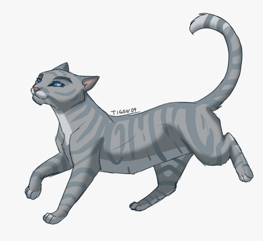 Grey Cat With Blue Eyes Clipart - Silverstream Warrior Cat, HD Png Download