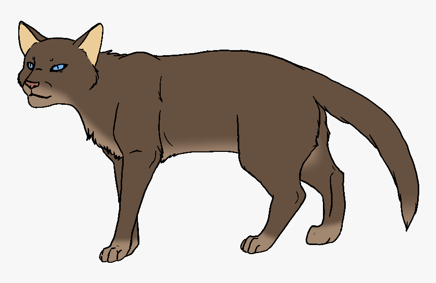Clip Art Brown Cat With Blue Eyes - Red Brown Warrior Cat, HD Png Download