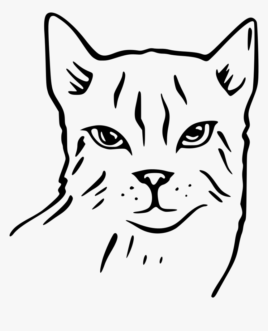 Cat - Free Cat Face Png File, Transparent Png