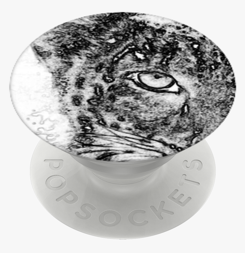 Owl, HD Png Download