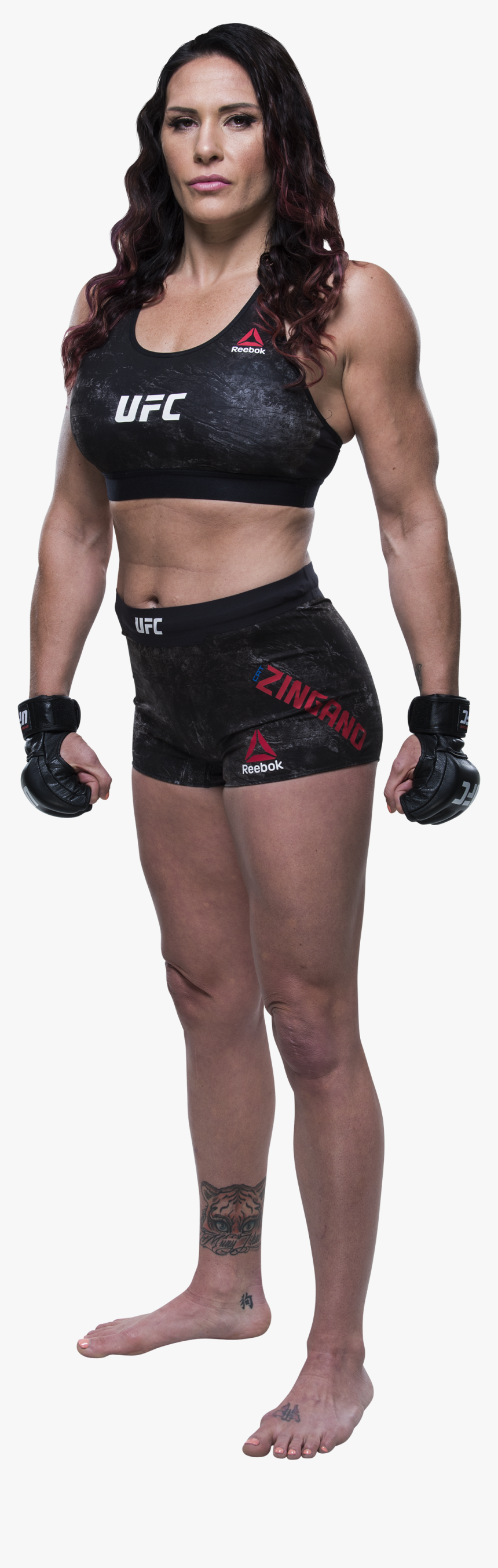 Fox Ufc, HD Png Download