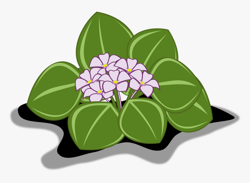 Clipart Gratis De Flores, HD Png Download