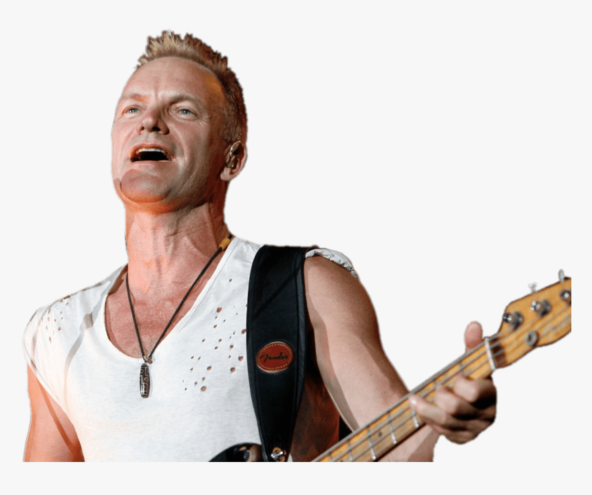 Sting Guitar - Sting Png, Transparent Png