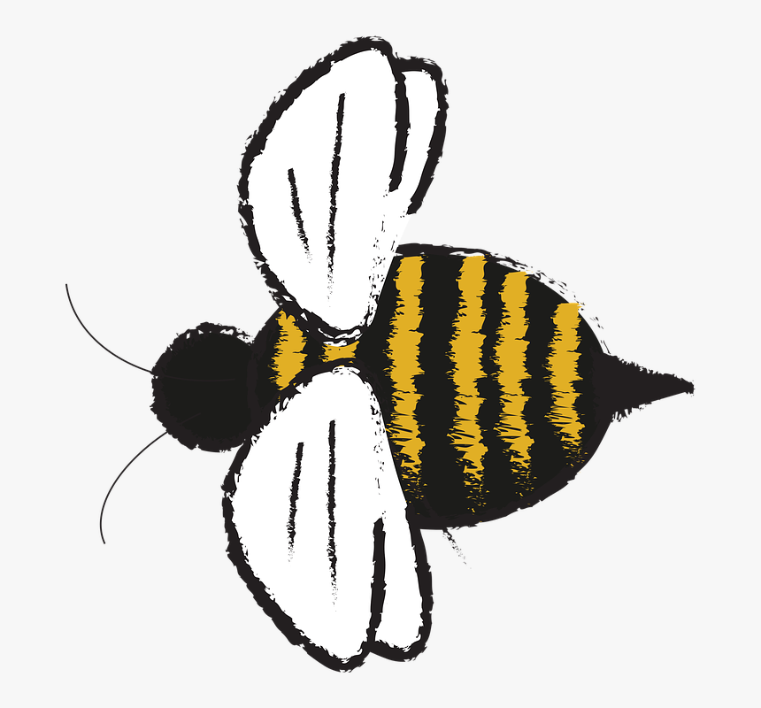Transparent Sting Png - Bee, Png Download
