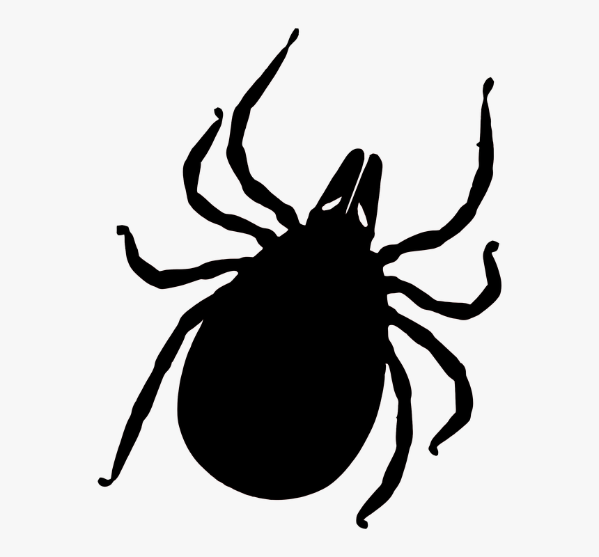 Tick Bug Png - No Ticks And Mosquitoes, Transparent Png
