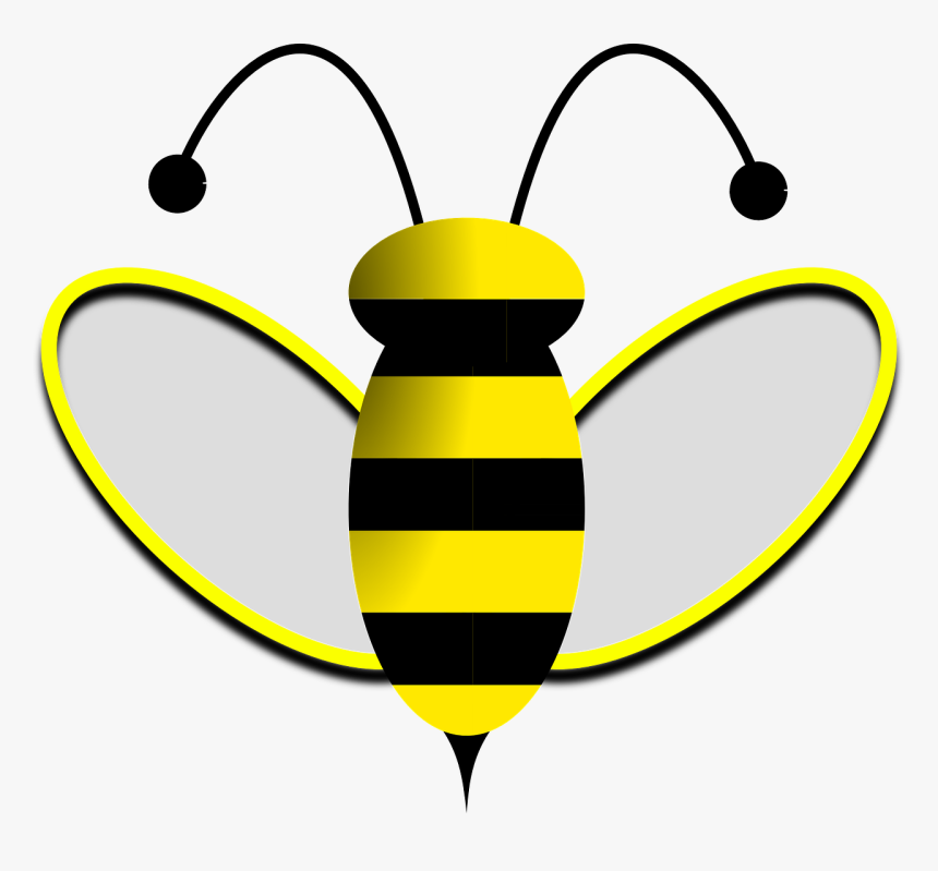 Antena De Abelha Png, Transparent Png