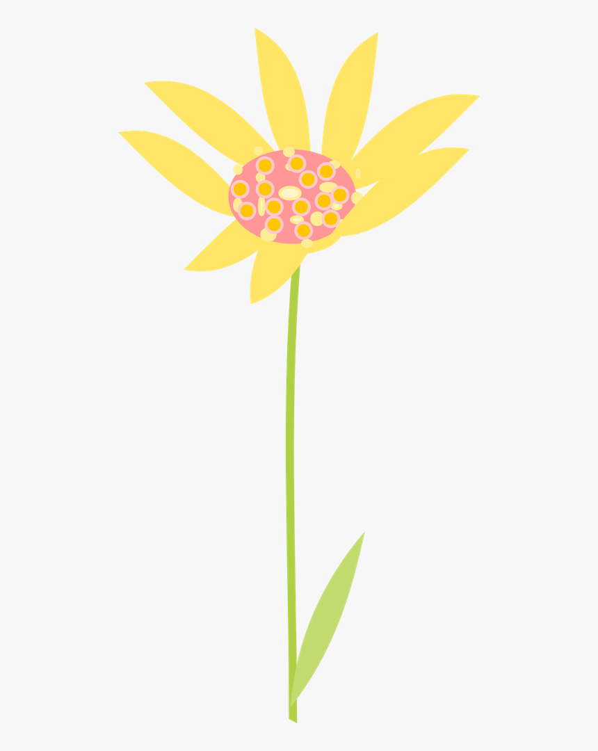 Free Scrap Flower Png S Flower Clipart Graphics Clipart - African Daisy, Transparent Png