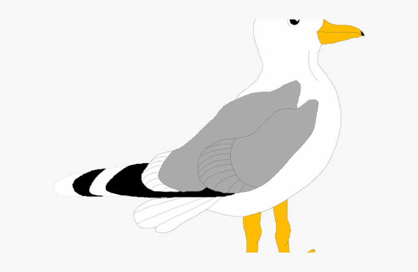 Herring Gull Clip Art, HD Png Download