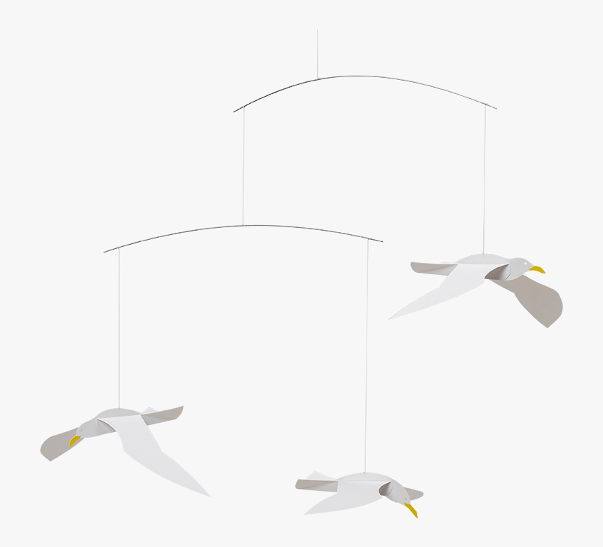 Franklin S Gull, HD Png Download