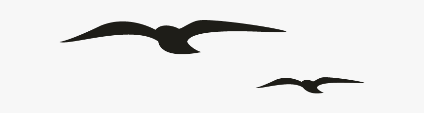 Seabird, HD Png Download