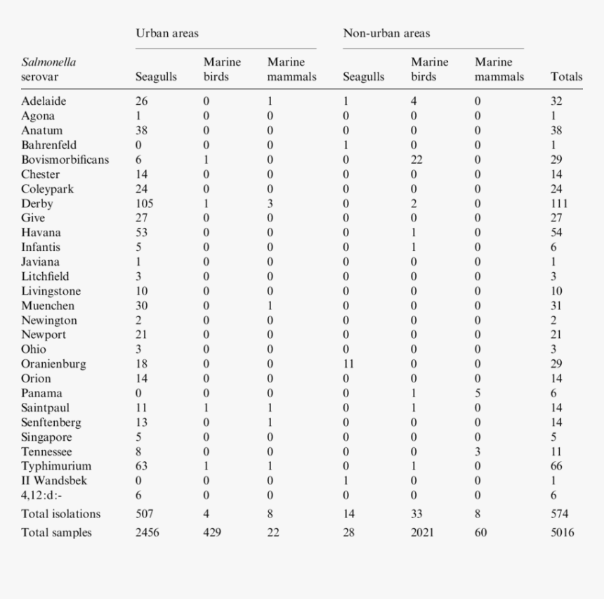 Document, HD Png Download