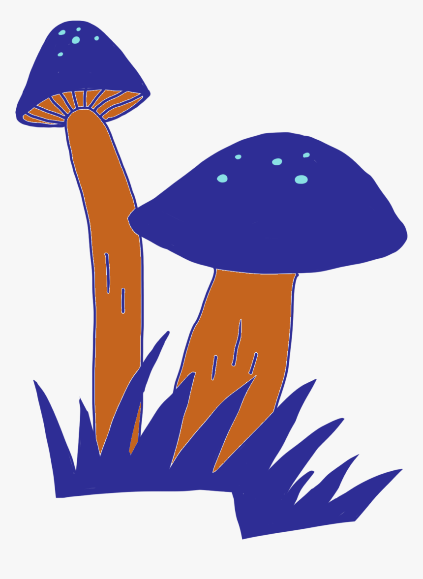 Edible Mushroom, HD Png Download