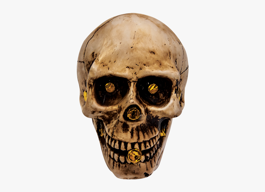 Skull, HD Png Download