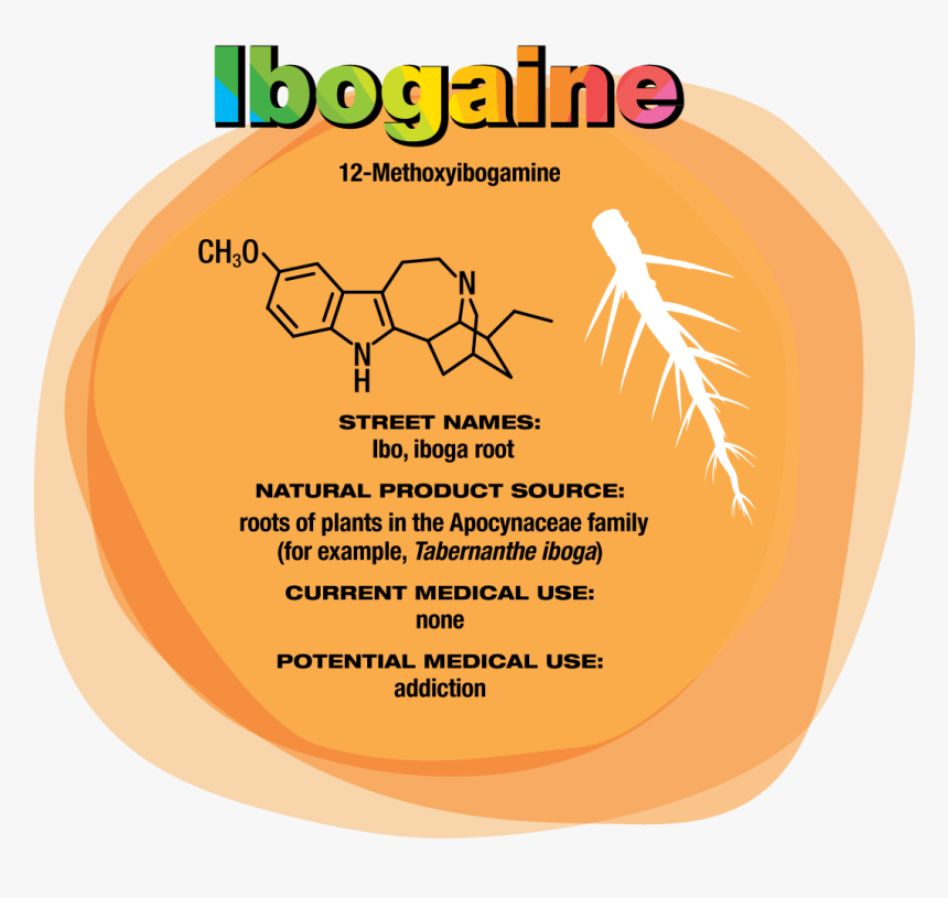 Ibogaine Drug, HD Png Download