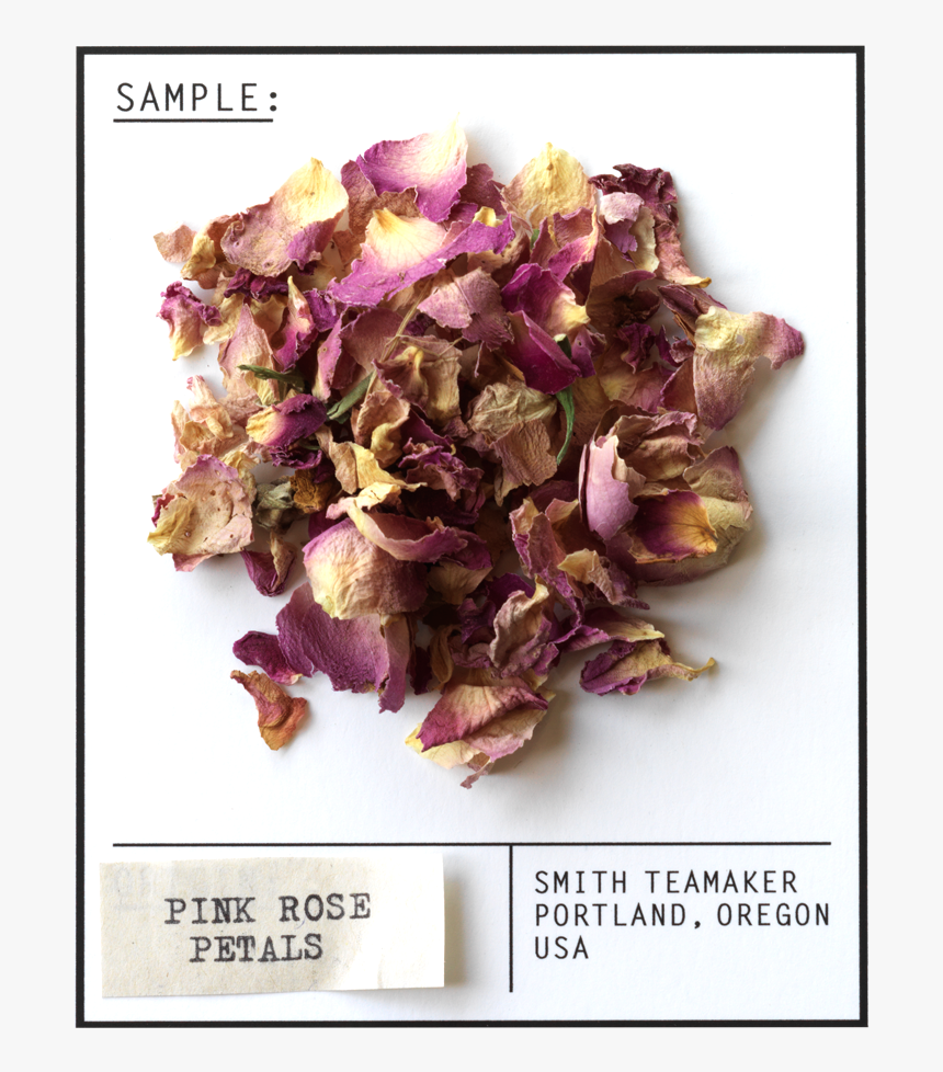 Turnip, HD Png Download