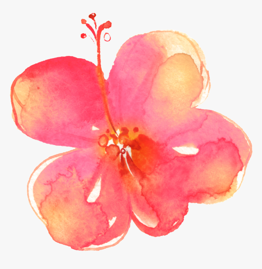 Painted Pink Hd Flower Petals Png, Transparent Png