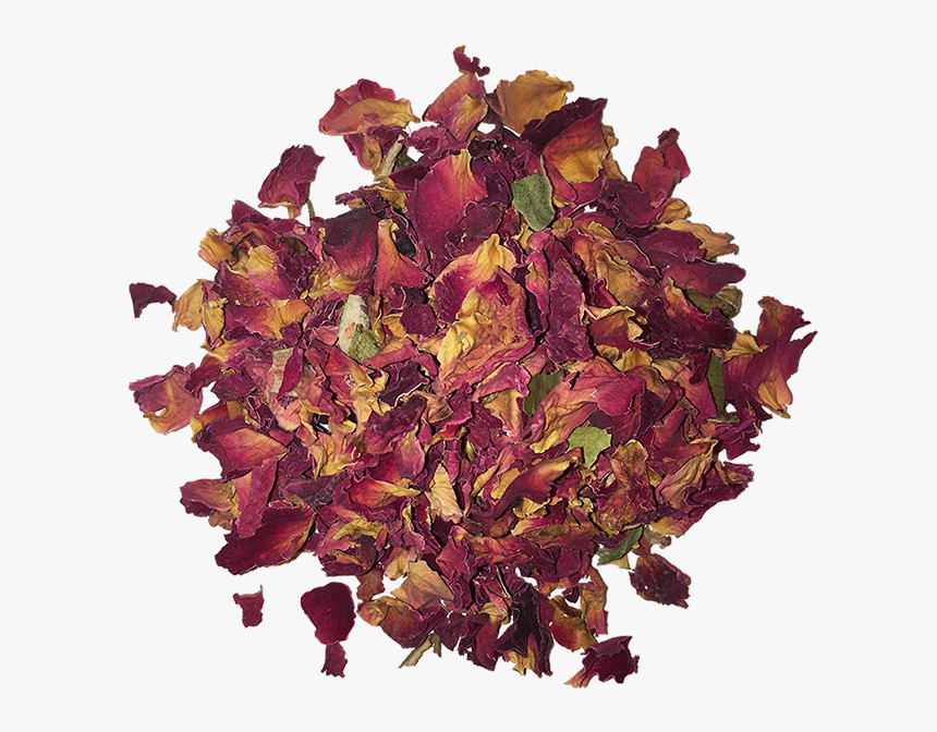 Autumn, HD Png Download
