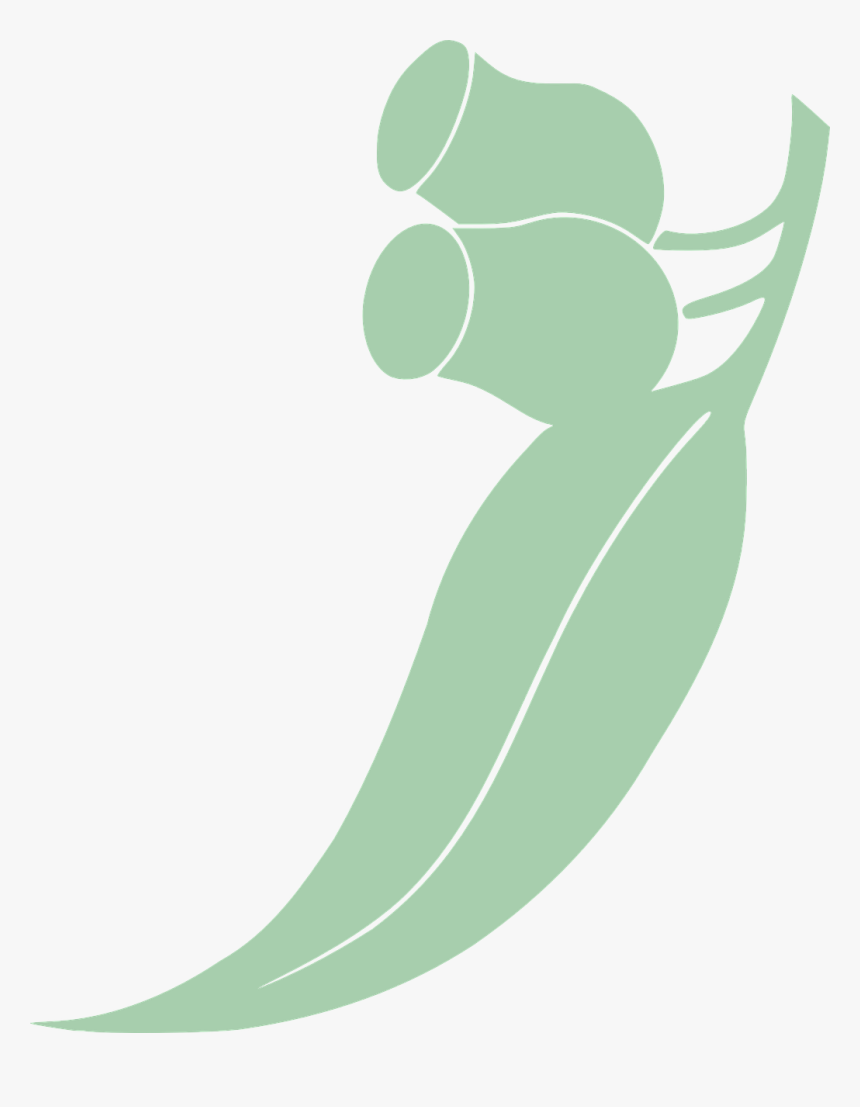 Eucalyptus, Leaf, Tree, Eucalyptus L Heritier - Gum Leaf Clip Art, HD Png Download