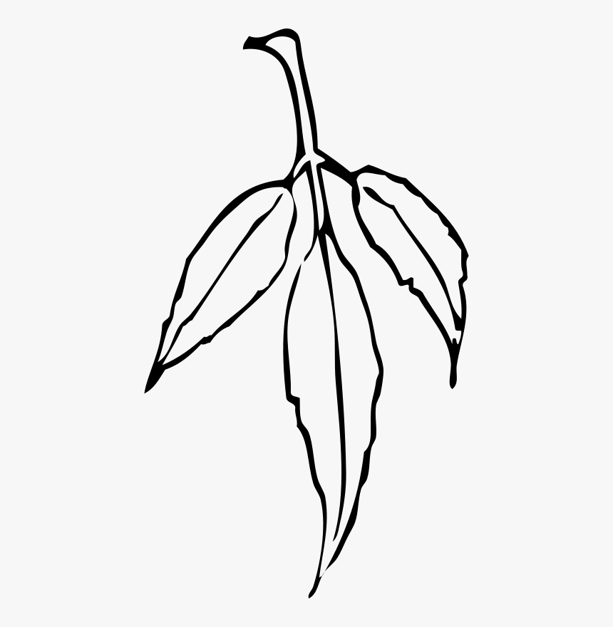 Leaf - Neem Leaves Black And White, HD Png Download