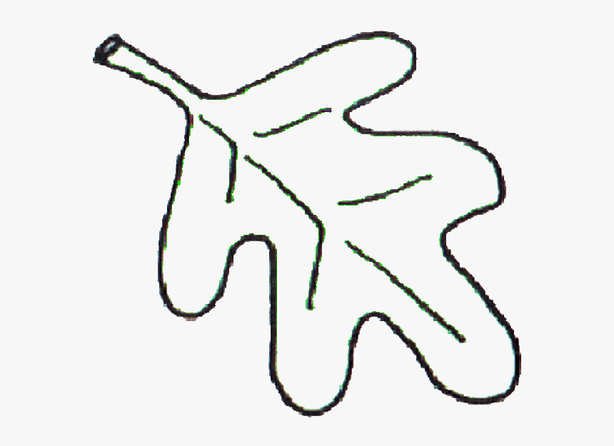 Leaf Bw - Oak Leaf Line Art, HD Png Download
