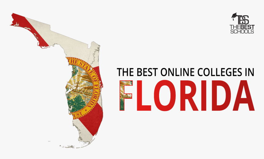 Hero Image For The Best Online Colleges In Florida - State Seal Of Florida, HD Png Download