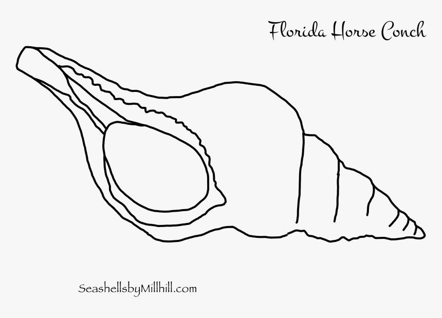 Sketch, HD Png Download