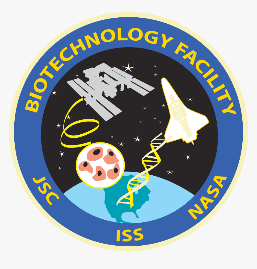 Boston Bruins - Swot Icon Png, Transparent Png