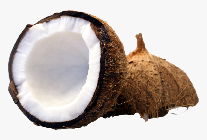 Coconut Cut In Half Png Image, Transparent Png
