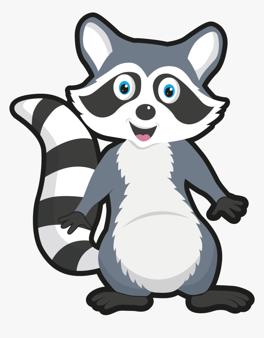 Raccoon Cartony Drawing, HD Png Download , Transparent Png Image - PNGitem