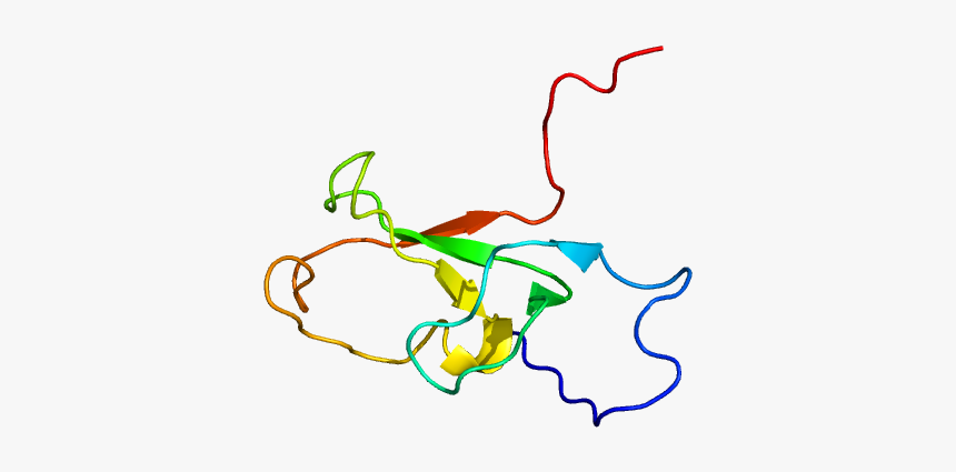 Protein Zzz3 Pdb 2fc7, HD Png Download