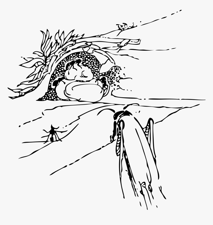 Ant And Grasshopper Drawing, HD Png Download