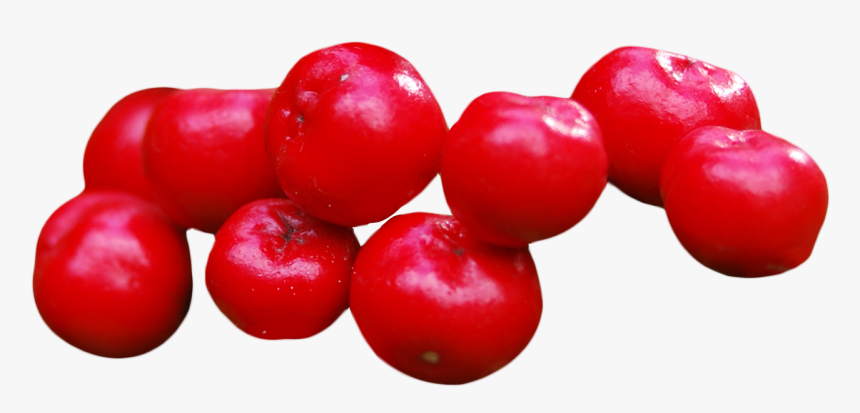 Cranberry Png Image - Cranberry, Transparent Png
