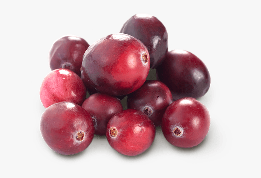 Cranberry And Blueberry Transparent, HD Png Download
