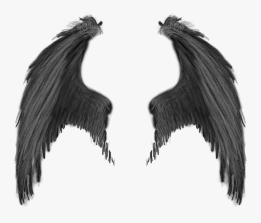 Demon Wings Png, Transparent Png