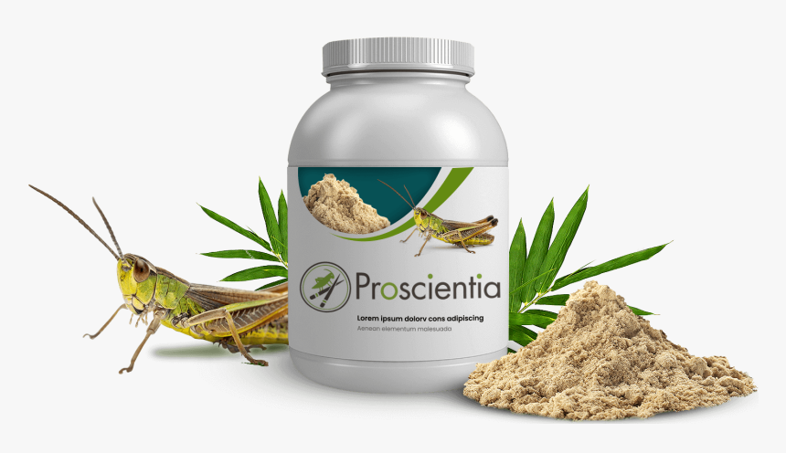 Edible Grasshoppers In China - Locust, HD Png Download