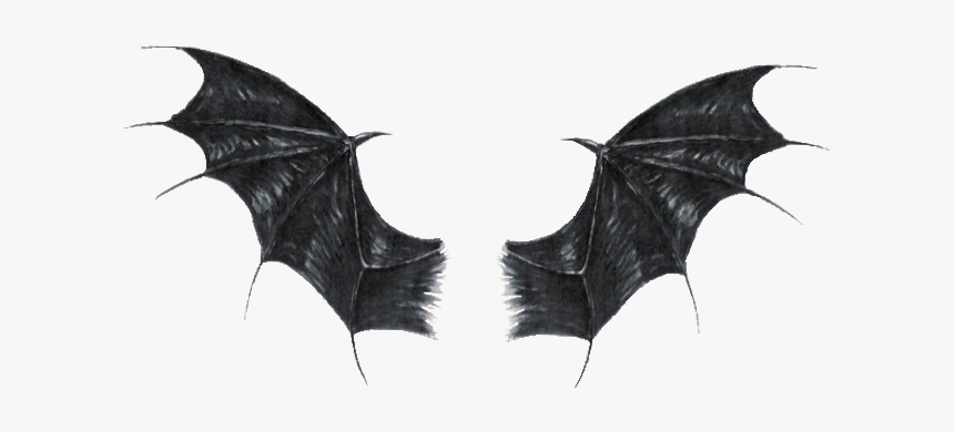 #stickergang #black #demon #dragon #wings #sweet - Dragon Wings, HD Png Download