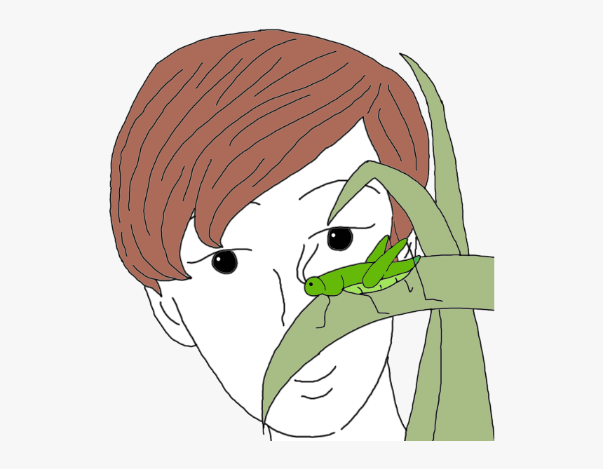 Grasshopper - Cartoon, HD Png Download