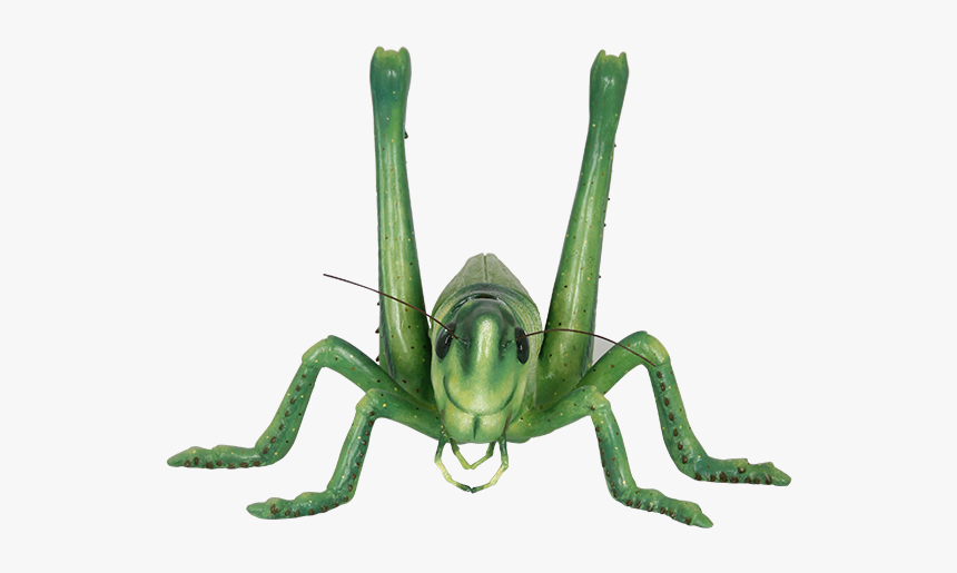Grasshopper Png Image - Portable Network Graphics, Transparent Png