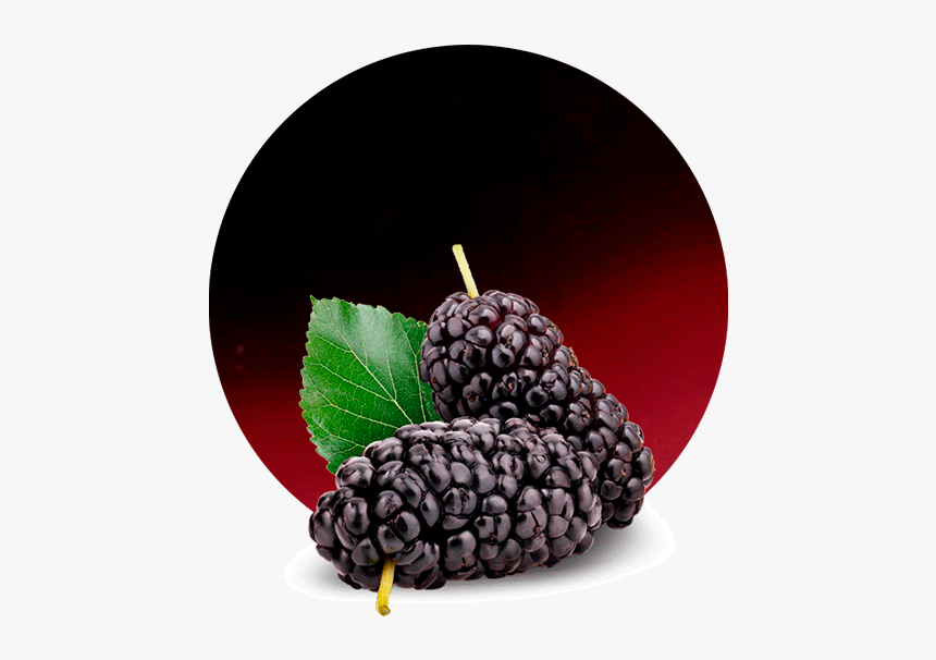 Blackberry Mulberry, HD Png Download