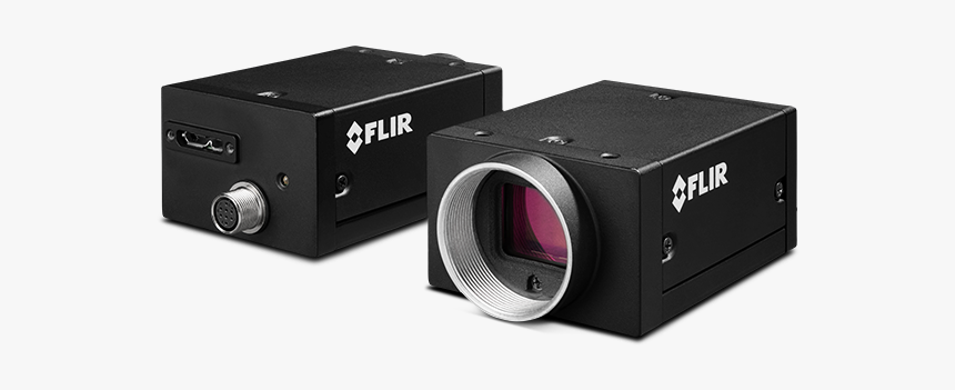 Grasshopper Png, Transparent Png