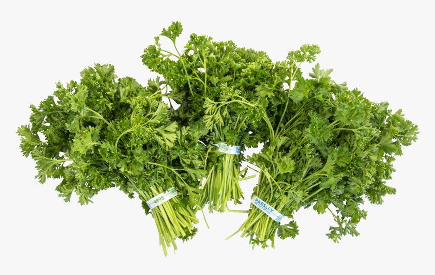 Parsley, HD Png Download
