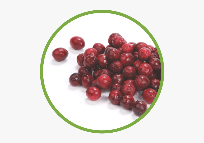 Cranberry Md Circle - Red Circle Fruit, HD Png Download