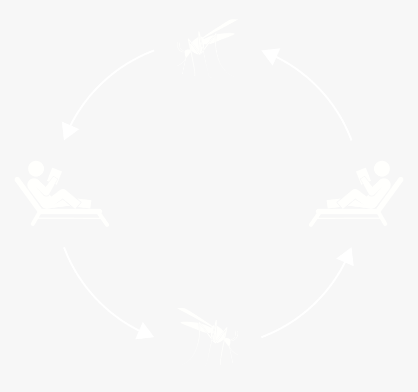 Shirt, HD Png Download