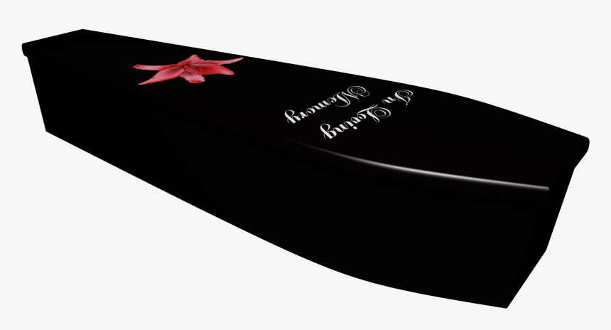 In Loving Memory Printed Wooden Coffin - Starfish, HD Png Download