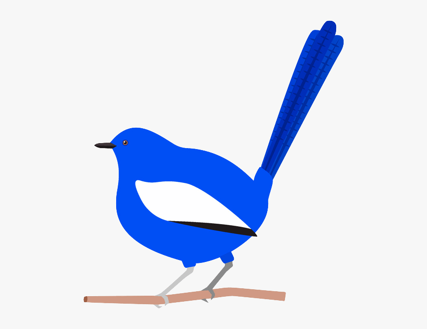 Blue Wren Cartoon, HD Png Download