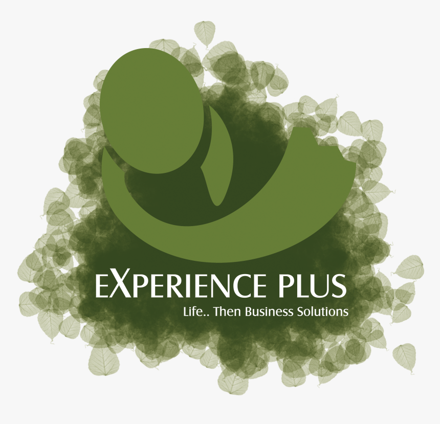Experience Plus Icon - Graphic Design, HD Png Download