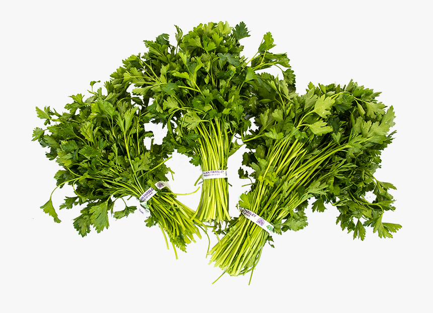 Parsley, HD Png Download